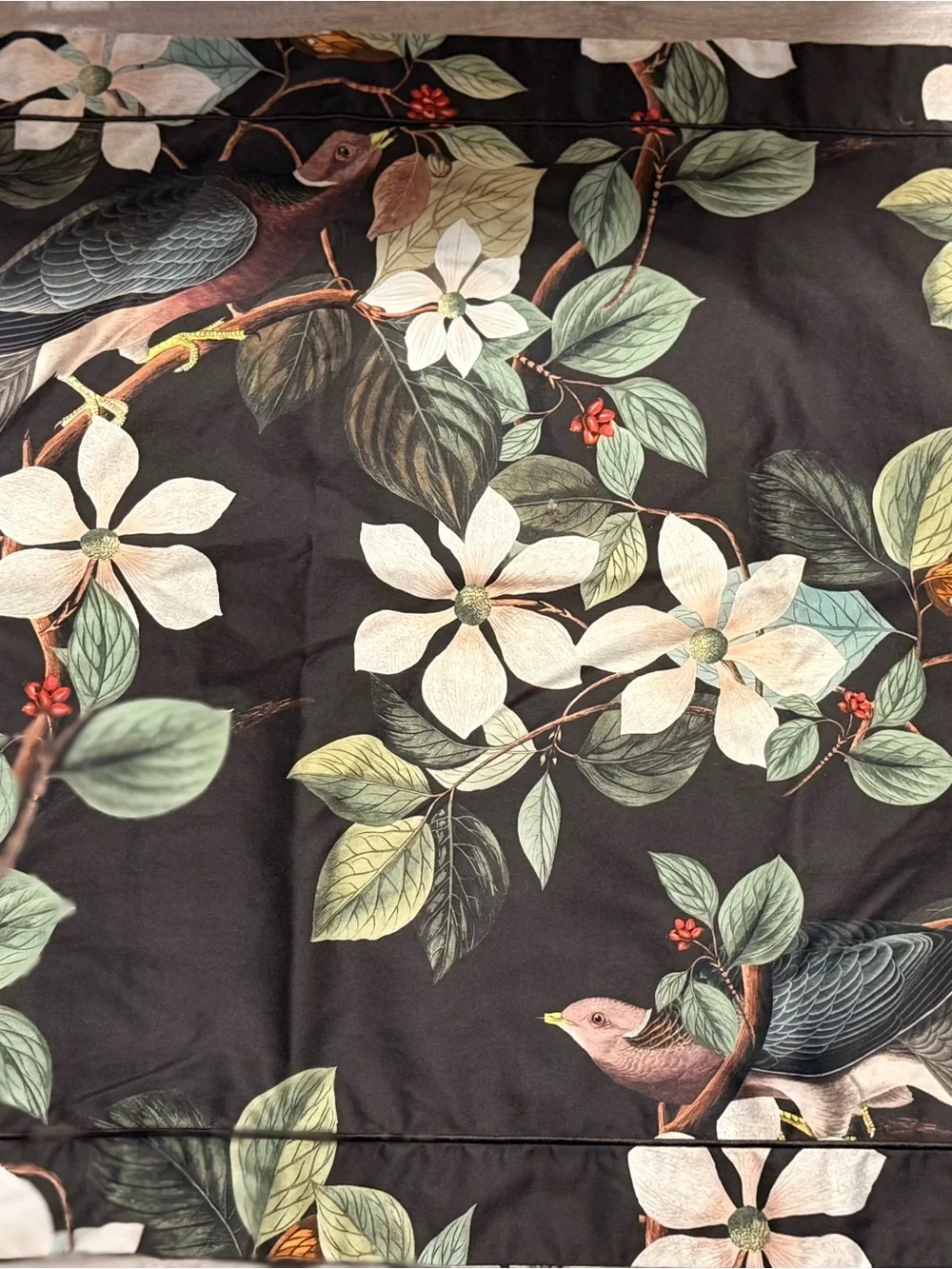 Cuddledown James Audubon Pigeon Birds King Duvet Cover